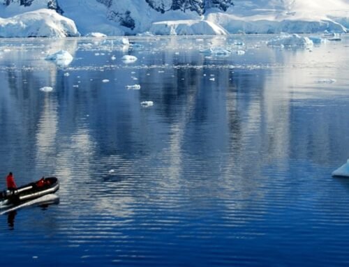 EXPEDITIONS TO ANTARCTICA