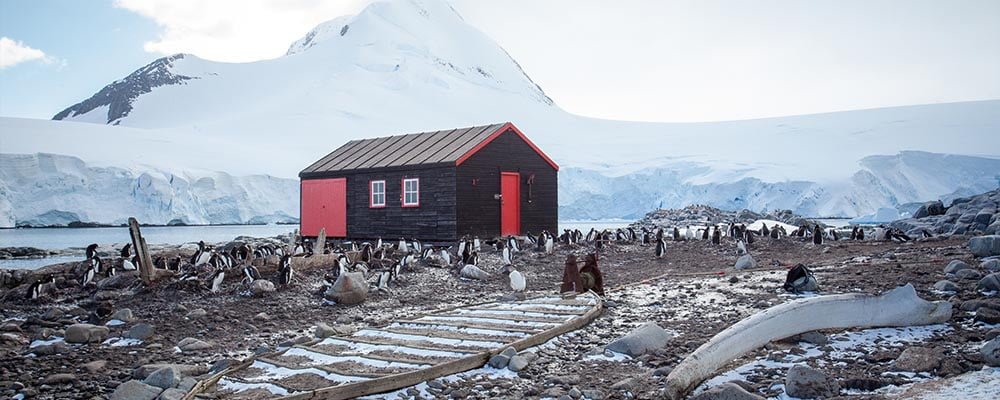 The world's southernmost post office is located in Port Lockroy Antarctica