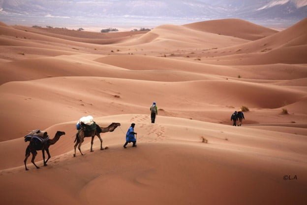 Explore Morocco's Desert