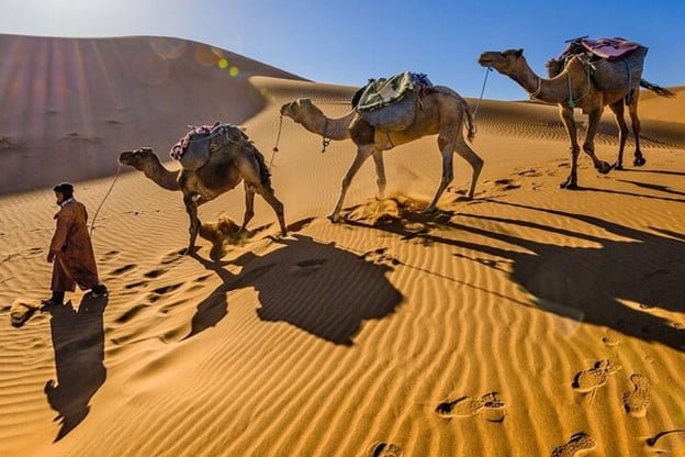 Morocco's Desert - From Marrakech to M'hamid